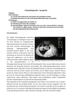 Vorschau - Stundenentwürfe - Pränataldiagnostik - Seite 3