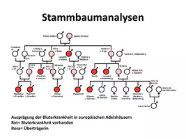 Vorschau - Stundenentwürfe - Materialpaket Stammbaumanalysen - Seite 3