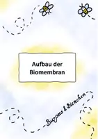 Vorschau - Stundenentwürfe - Aufbau der Biomembran/Zellmembran - Deckblatt