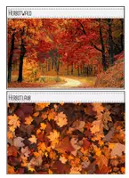 Vorschau - Fördermaterial/Inklusion - Fotokartei Herbst - Seite 2