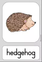 Vorschau - Fördermaterial/Inklusion - Autumn Fall Herbst Bildkarten flashcards Tafelmaterial - Englisch - Seite 3