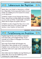 Vorschau - Bildkarten - Wissenskartei - Amphibien und Reptilien | Biologie - Seite 2