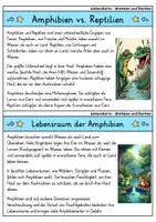 Vorschau - Bildkarten - Wissenskartei - Amphibien und Reptilien | Biologie - Seite 1