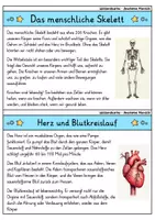 Vorschau - Bildkarten - Wissenskartei - Anatomie Mensch | Menschlicher Körper | Biologie - Seite 1