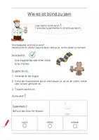 Vorschau - Arbeitsblätter - Materialpaket Auge (Experimente) - Seite 2
