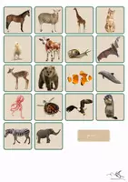 Aperçu - Jeux - "Qui est-ce?" des animaux - Page 1
