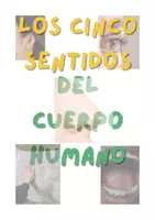 Vista previa - Hojas de trabajo - Comprensión lectora 3º ciclo. - página 1