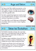 Vorschau - Bildkarten - Wissenskartei - Das Auge und Sehen | Sinne und Sinnesorgane - Seite 3