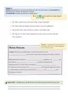 Vorschau - Arbeitsblätter - Relativsätze: induktiver Grammatikunterricht - Seite 3