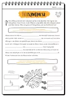Vorschau - Arbeitsblätter - ☀️🌱 Arbeitsblatt Fotosynthese mit Lösung - Seite 1
