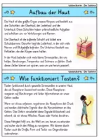Vorschau - Bildkarten - Wissenskartei - Sinne und Sinnesorgane | Sparpaket - Seite 2