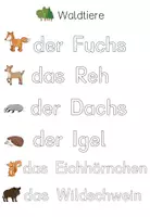 Vorschau - Arbeitsblätter - 3 Arbeitsblätter - Tiere im Wald schreiben vs nachspuren - Seite 2
