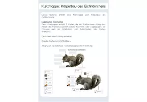 Vorschau - Arbeitsblätter - Klettmappe / Arbeitsblatt Körperbau Eichhörnchen - Deckblatt
