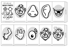Vista previa - Hojas de trabajo - BODY PARTS - Mini Dictionary (Leporello) - página 2