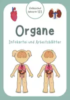 Vorschau - Arbeitsblätter - Innere Organe CLIL: Infokartei und Arbeitsblätter - Deckblatt