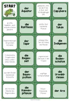 Vorschau - Spiele - REGENWALD - Begriffe Domino - Seite 2