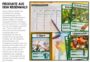 Vorschau - Unterrichtsreihen - REGENWALD - Materialpaket - Seite 2