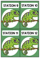 Vorschau - Bildkarten - REGENWALD - Stationskarten - Seite 3