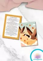 anteprima - Schede informative - Migrazione e uccelli migratori - storia per bambini - Pagina di copertina