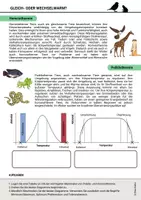 Vorschau - Arbeitsblätter - Arbeitsblatt Thermoregulation Ökologie Gleichwarm Wechselwarm - Seite 1