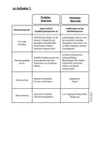 Vorschau - Arbeitsblätter - Arbeitsblatt Thermoregulation Ökologie Gleichwarm Wechselwarm - Seite 2