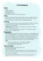 Vorschau - Stundenentwürfe - Sternlauf Ausdauer Sport Grundschule - Seite 2