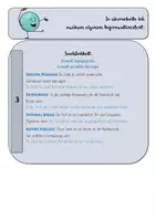 Vorschau - Stationenlernen - Fächer und Wortschatz zum Überarbeiten eines Informationstextes / einer Ortsbeschreibung - Seite 3