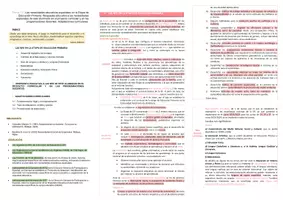 Vista previa - Para docentes: organización, planificación y formación - Oposiciones PT Andalucía: Esquema tema 13 - página 1