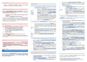 Vista previa - Para docentes: organización, planificación y formación - Oposiciones PT Andalucía: Esquema tema 13 - página 3