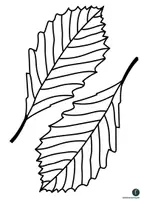 Vorschau - Stundenentwürfe - wachsendes Materialpaket Kunst- Klasse 1 - Seite 3