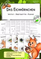 Vorschau - Arbeitsblätter - Das Eichhörnchen - Aussehen, Feinde, Nahrung - Deckblatt