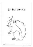 Vorschau - Arbeitsblätter - Das Eichhörnchen - Aussehen, Feinde, Nahrung - Seite 2