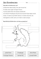 Vorschau - Arbeitsblätter - Das Eichhörnchen - Aussehen, Feinde, Nahrung - Seite 3