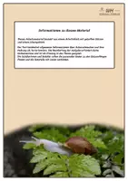 Vorschau - Arbeitsblätter - Achatschnecken In ganzen Sätzen - Seite 1