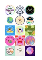 Vorschau - Anderer Materialtyp - Sticker zur Reflexion von Projekten_Schule mit Schnauzer - Seite 1