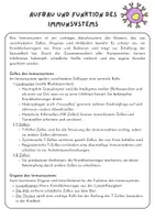 Vorschau - Stundenentwürfe - Bestandteile des Immunsystems | Unterrichtsreihe "Immunsystem", inkl. Verlaufsplan | Biologie, 7./8. Klasse | - Seite 3