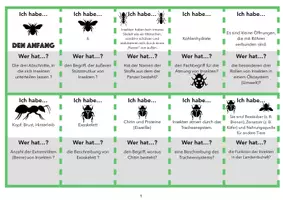 Vorschau - Quiz - Grundwissen Kl. 5/6_Biologie_Ich habe Wer hat_Insekten - Seite 3