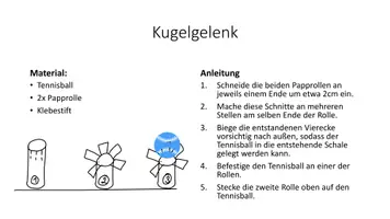 Vorschau - Arbeitsblätter - Materialpaket Gelenktypen - Seite 2