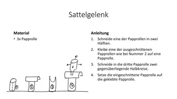 Vorschau - Arbeitsblätter - Materialpaket Gelenktypen - Seite 3