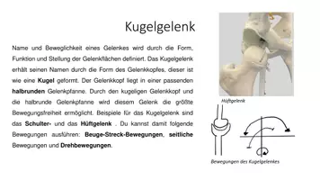 Vorschau - Arbeitsblätter - Materialpaket Gelenktypen - Deckblatt