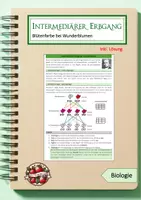 Vorschau - Arbeitsblätter - Intermediärer Erbgang: Wunderblume - Deckblatt