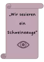 Vorschau - Arbeitsblätter - Sezieren eines Schweineauges / Präparation - Deckblatt
