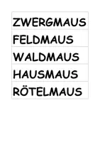 Vorschau - Spiele - Materialpaket - Seite 3