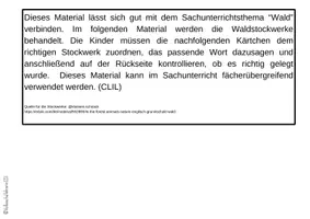 Vorschau - Bildkarten - CLIL forest - Stockwerke des Waldes - Seite 1