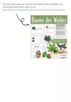 Vorschau - Präsentationen/Tafelbilder - Bäume des Waldes - Tafelmaterial - Seite 2