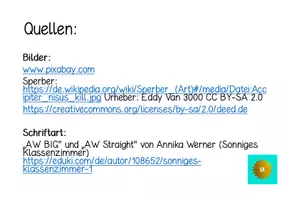 Vorschau - Arbeitsblätter - Arbeitsblatt Nahrungsnetz Ökosystem Wald - Seite 3