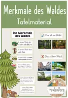 Vorschau - Präsentationen/Tafelbilder - Merkmale des Waldes - Tafelmaterial - Deckblatt