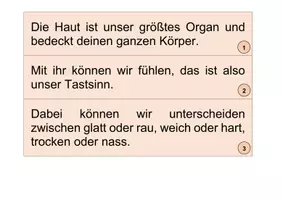 Vorschau - Arbeitsblätter - 5 Sinne - Materialpaket (Sparpaket) - Seite 2