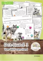 Vorschau - Stundenentwürfe - Säugetiere - der Hund 3: Vom Wolf zum Hund - Deckblatt