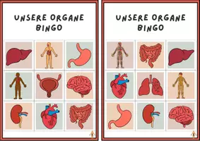 Vorschau - Stationenlernen - Bingo Organe - Seite 1